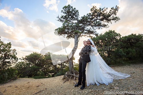 Image of Interracial newlyweds hugging against the backdrop of a beautiful forest landscape in the center of which is an old original tree
