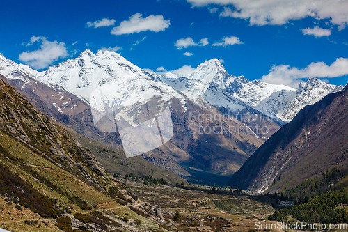 Image of View from Chitkul Village, Himachal Pradesh