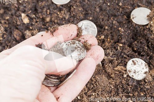 Image of American coins