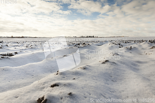 Image of plowed field under snow