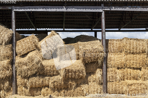 Image of pressed square bales