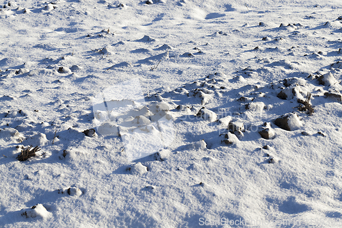 Image of Snow drifts in winter ,