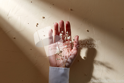 Image of hand with dried baby's breath flowers in cuff