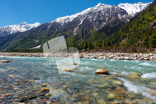 Image of Baspa river in Himalayas