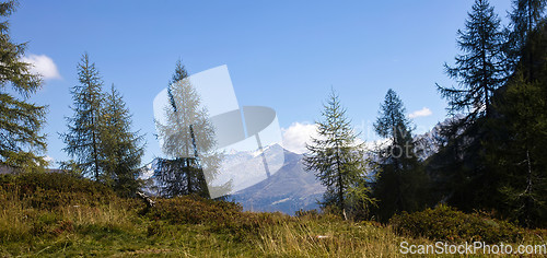 Image of South Tyrolean Alps in autumn