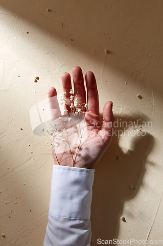 Image of hand with dried baby's breath flowers in cuff