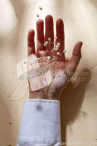 Image of hand with dried baby's breath flowers in cuff