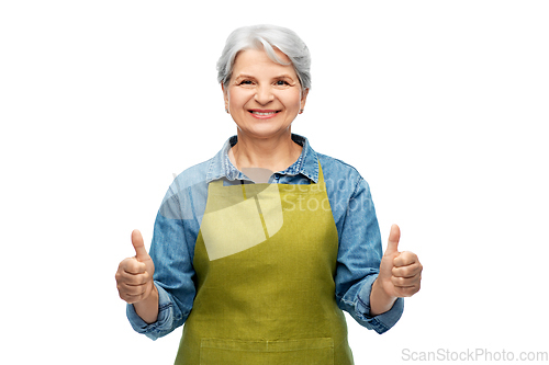 Image of senior woman in garden apron showing thumbs up