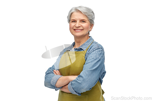 Image of portrait of smiling senior woman in garden apron