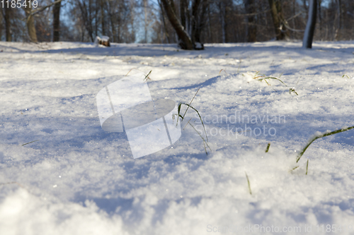 Image of Snow drifts in winter