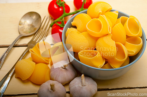 Image of Italian snail lumaconi pasta with tomatoes