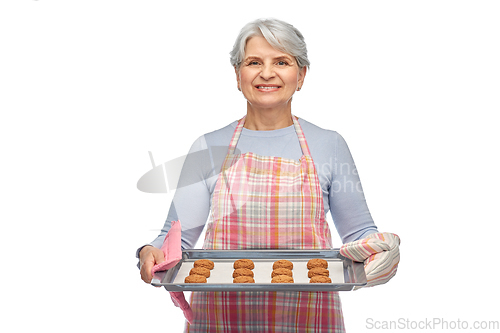 Image of senior woman in apron with cookies on baking pan