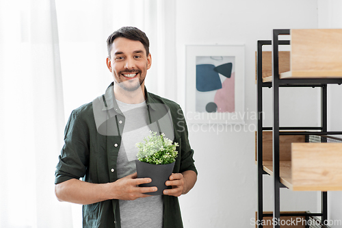 Image of man decorating home with flower or houseplant