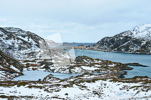 Image of View of norwegian fjord, Lofoten islands, Norway