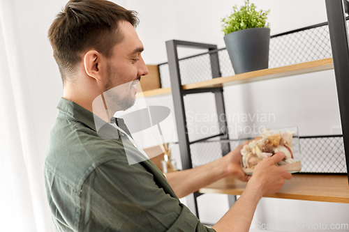 Image of man decorating home with seashells in vase