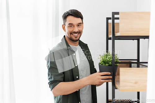 Image of man decorating home with flower or houseplant