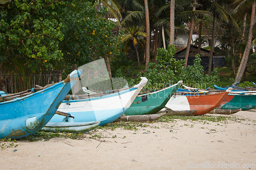 Image of Fishing boats on beach