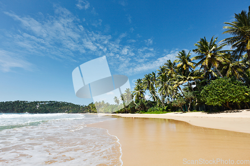 Image of Idyllic beach. Sri Lanka