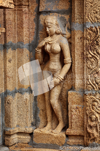 Image of Bas reliefes in Hindu temple. Sri Ranganathaswamy Temple. Tiruch