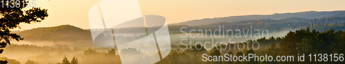 Image of Forested mountain slope in low lying cloud with the evergreen conifers shrouded in mist in a scenic landscape view