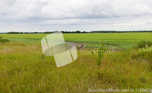 Image of field with grass