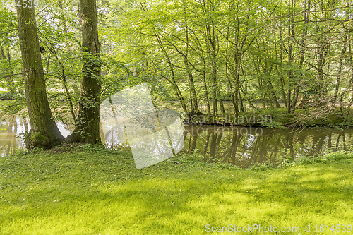 Image of idyllic park scenery