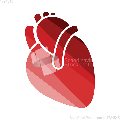 Image of Human heart icon