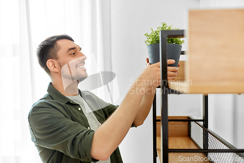 Image of man decorating home with flower or houseplant