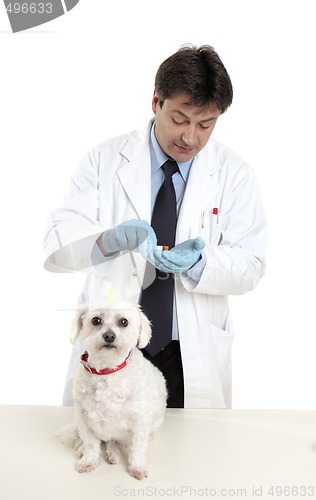 Image of Vet with prescription