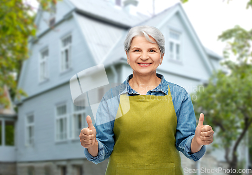Image of senior woman in garden apron showing thumbs up