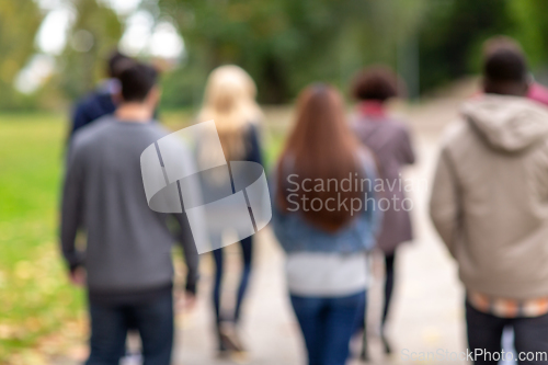 Image of international group of people walking in park