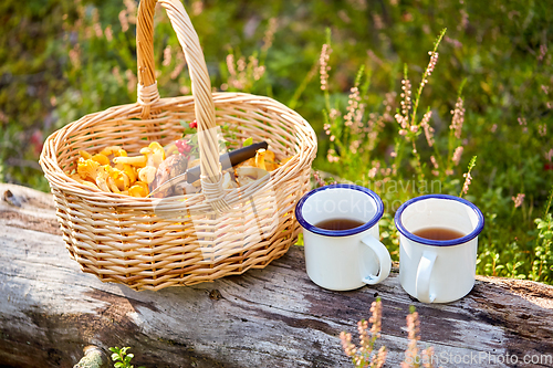 Image of mushrooms in basket and cups of tea in forest