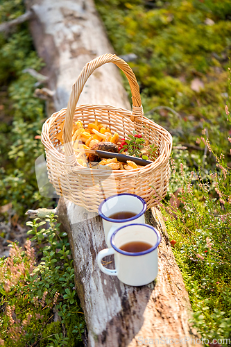 Image of mushrooms in basket and cups of tea in forest