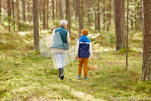 Image of grandmother and grandson with baskets in forest