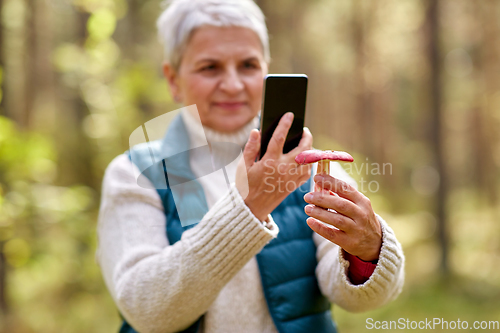 Image of senior woman using smartphone to identify mushroom