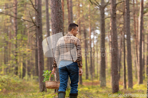 Image of man with basket picking mushrooms in forest