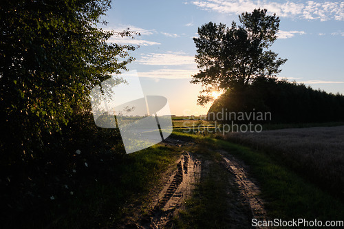 Image of Dirt road in sunset light