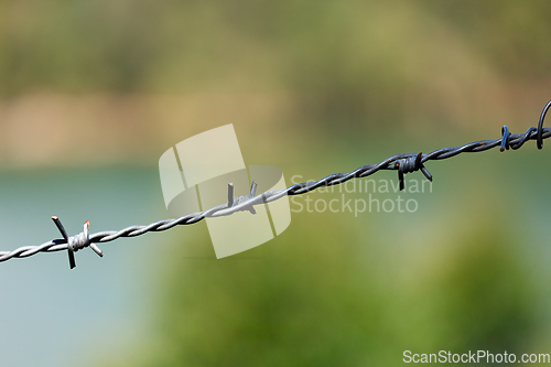 Image of Steel barbed wire