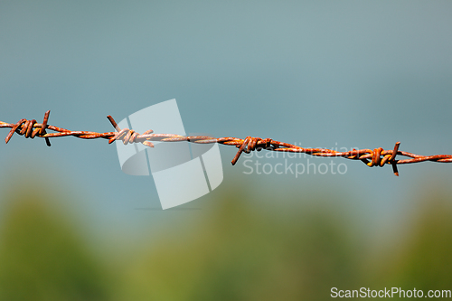 Image of Steel barbed wire