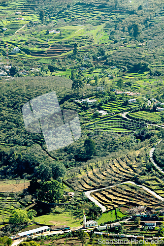Image of Terraced fields