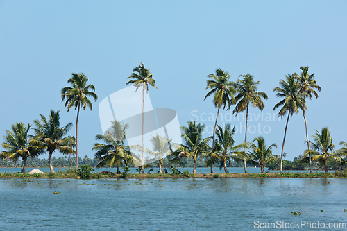 Image of Kerala backwaters