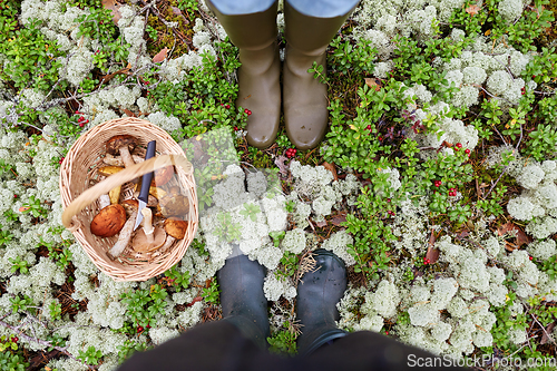 Image of legs in rubber boots and mushroom basket in forest