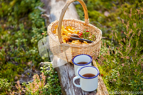 Image of mushrooms in basket and cups of tea in forest