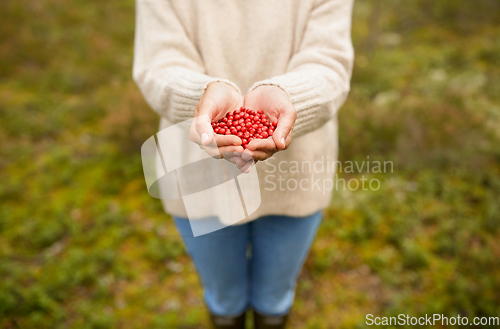 Image of close up of young woman holding berries in hands