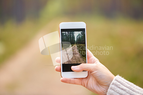 Image of hand using smartphone to take picture in forest