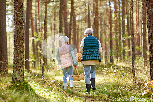 Image of grandmother and granddaughter picking mushrooms