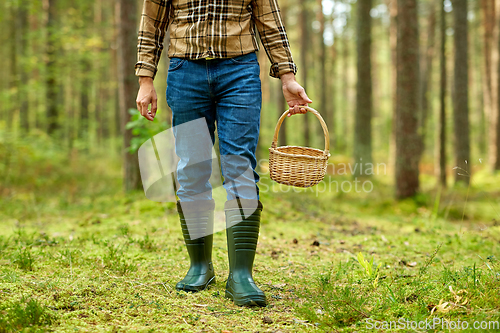 Image of man with basket picking mushrooms in forest
