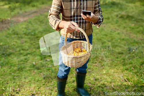 Image of man with smartphone and mushrooms in basket