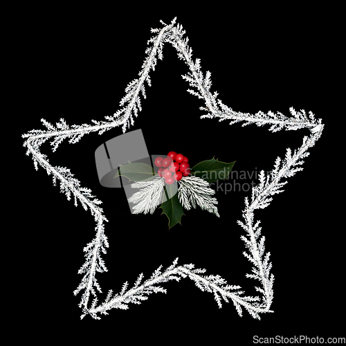 Image of Christmas Star of Bethlehem and Holly Decoration