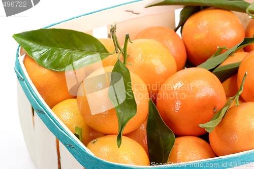 Image of Tangerines